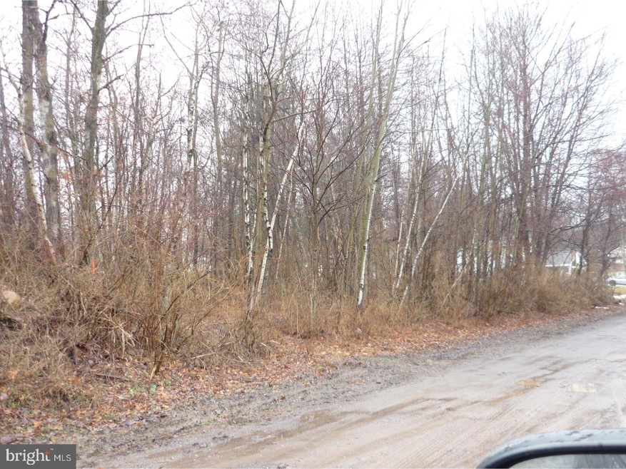 0 Grove St unit 1003137485, Tamaqua, PA 18252 - photo 1