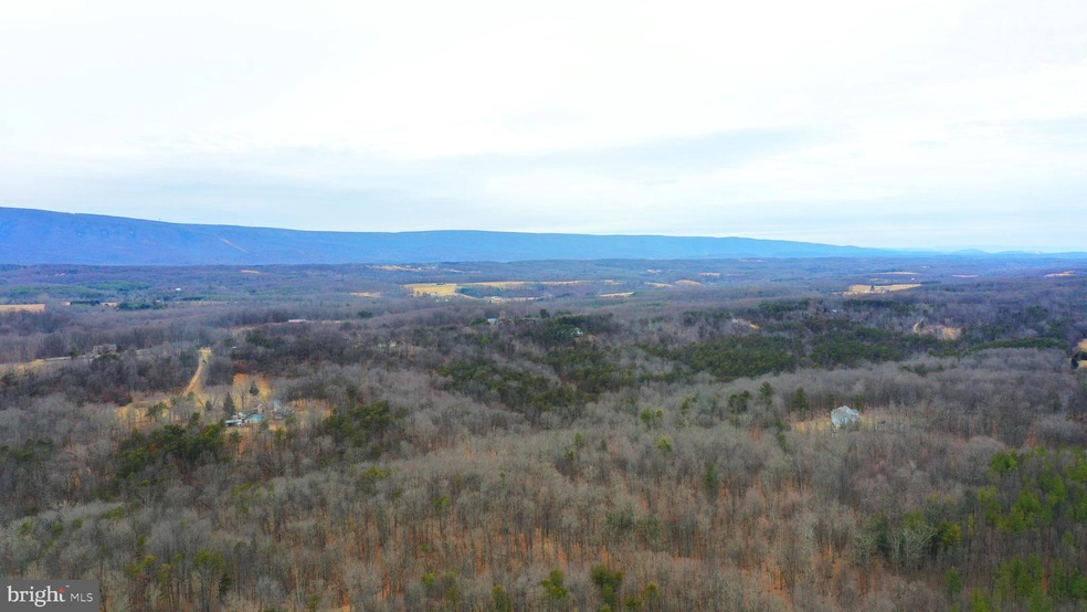 Lots 8A & 8B Reynolds Rd, Cross Junction, VA 22625 - photo 1