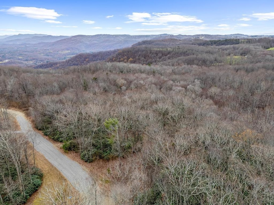 Lot 23 W Pheasant Chase, Ararat, VA 24053 - photo 1