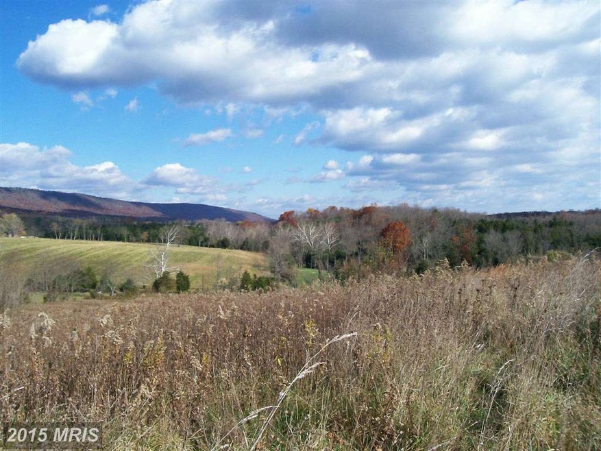 0 Bruebeck Ln unit 1003766658, Strasburg, VA 22657 - photo 1