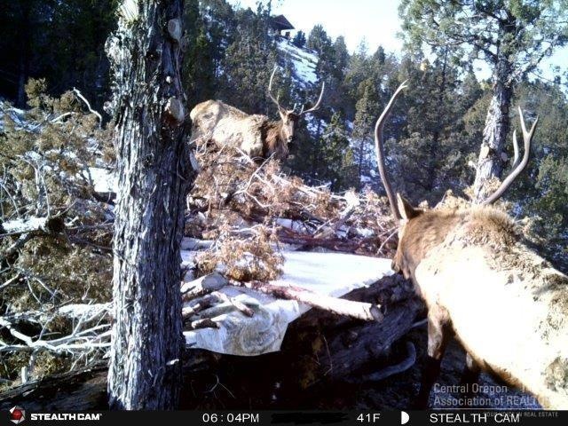 0 Shop Gulch unit 201804724, Mount Vernon, OR 97865 - photo 1