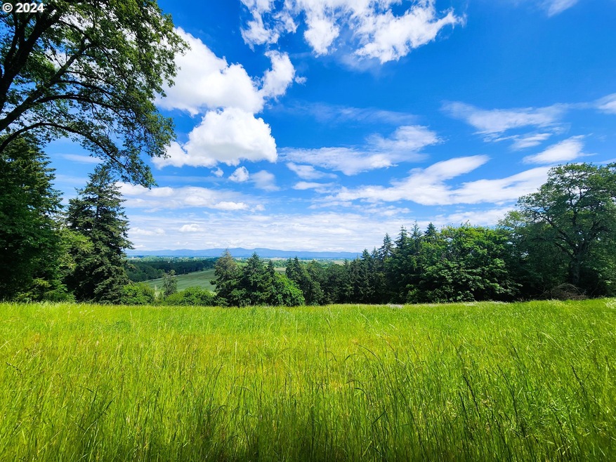 0 Applegate Trail unit 307 24170632, Junction City, OR 97448 - photo 1