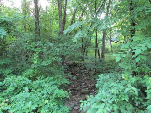 12564 Parker Branch Rd, West Fork, AR 72774 - photo 1