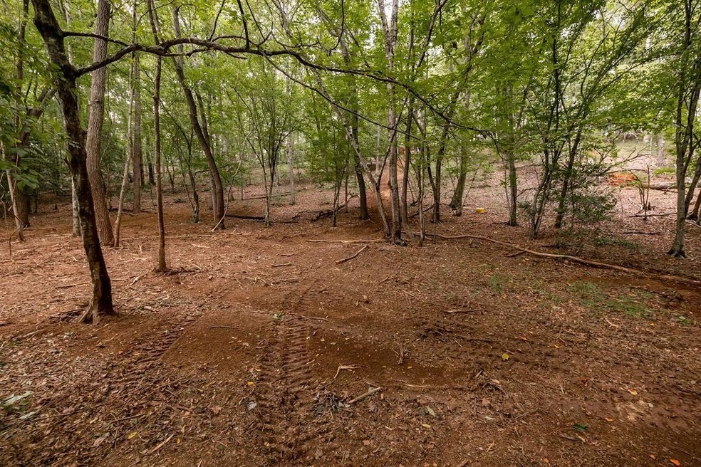 0 Whispering Waters unit 9023978, Demorest, GA 30535 - photo 1