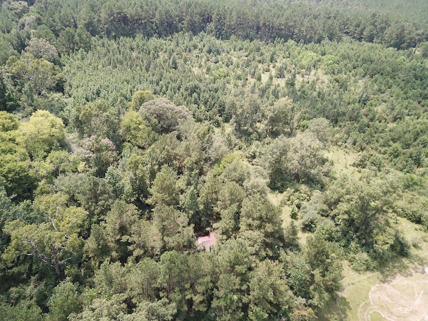 2800 County Road 441, Magnolia Springs, TX 75956 - photo 1