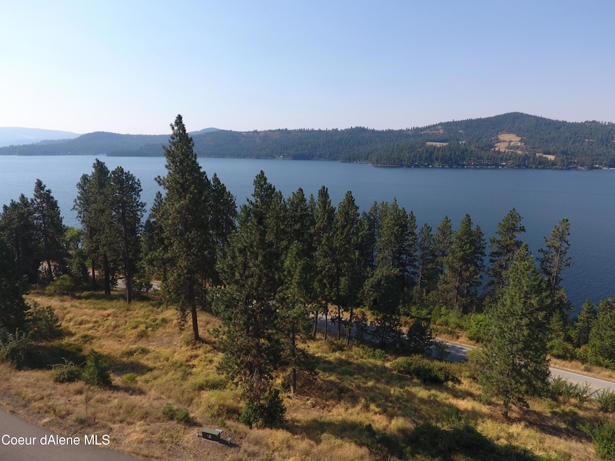 NNA Dusk, Harrison, ID 83833 - photo 1