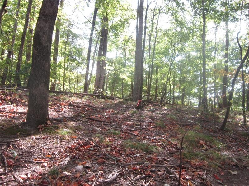 Awesome basement or slab homesite.  Front of home 