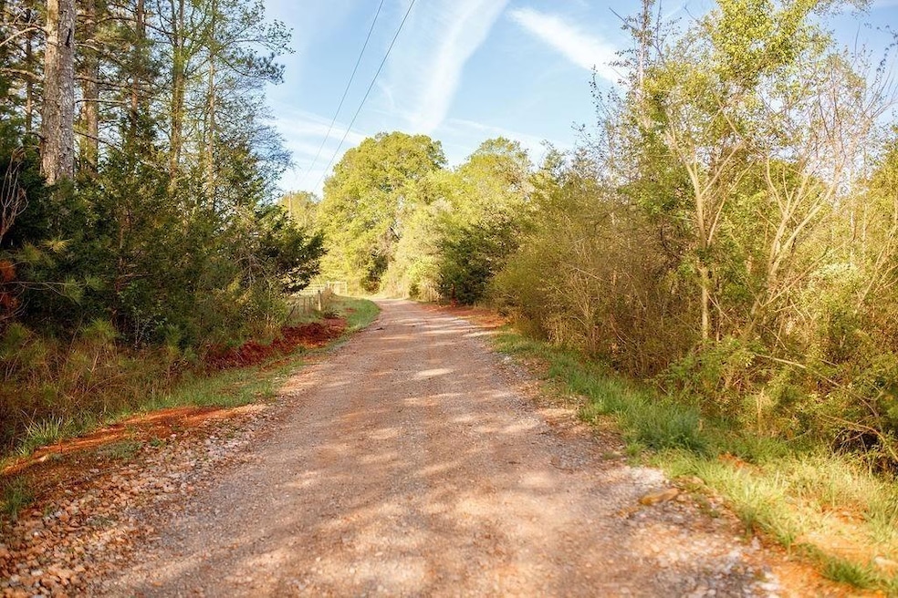 View of dirt / gravel road featuring a wooded view