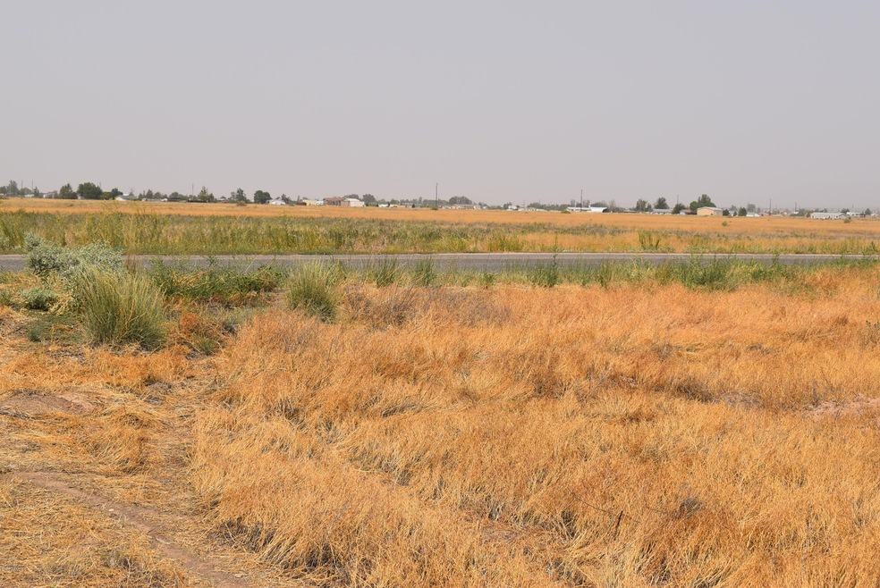 LOT VIEW 1