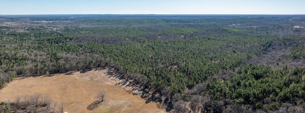 Aerial view with a view of trees