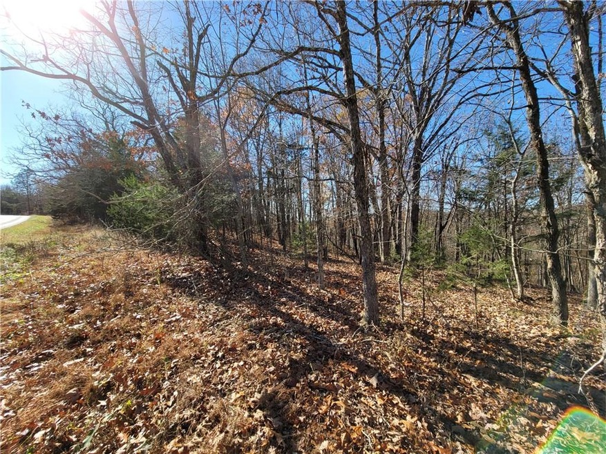 8 Acres Devils Den Rd, Winslow, AR 72959 - photo 1