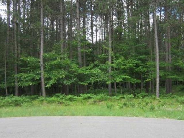 ON McCarthy Lake Rd, Tomahawk, WI 54487 - photo 1