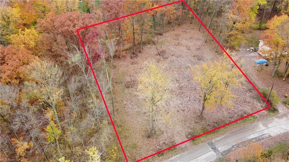 V/L Riley Rd, Aurora, OH 44202 - photo 1