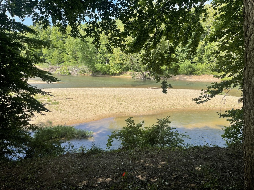 878 Buffalo Bottom Rd, Linden, TN 37096 - photo 1