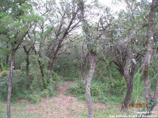 11122 Windy Willows, Helotes, TX 78023 - photo 1
