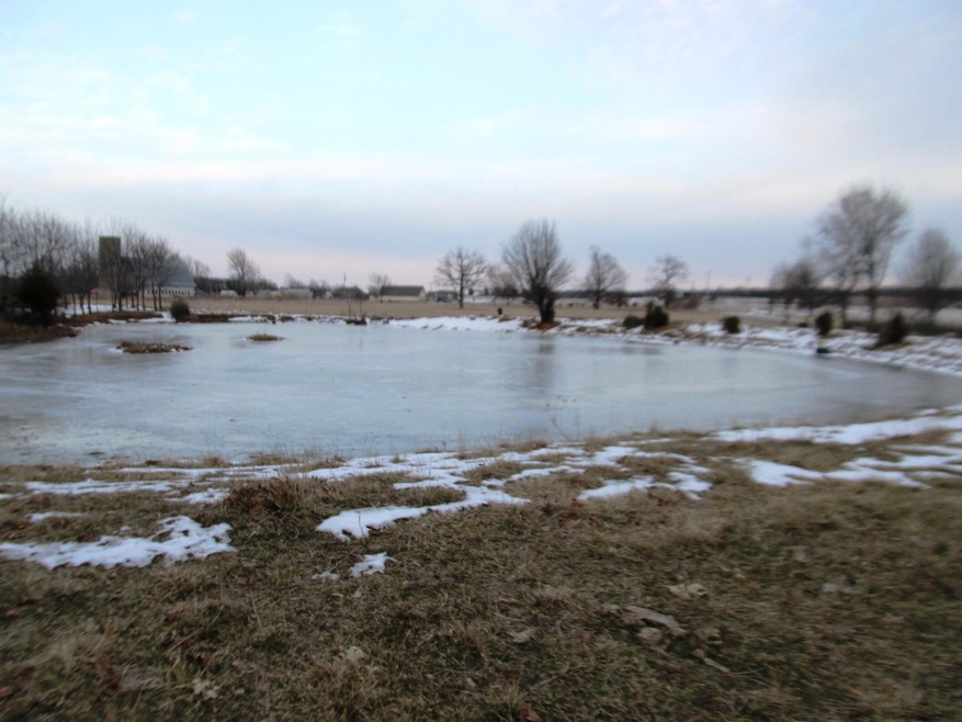 3 acre Lot 2 pond view