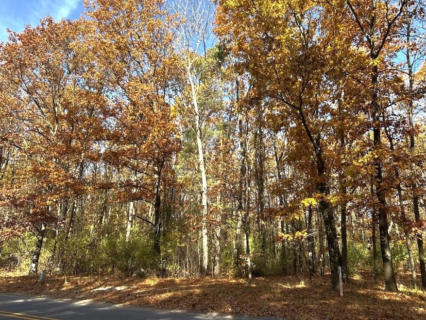 VL 0 Burroughs Parcel Roadside