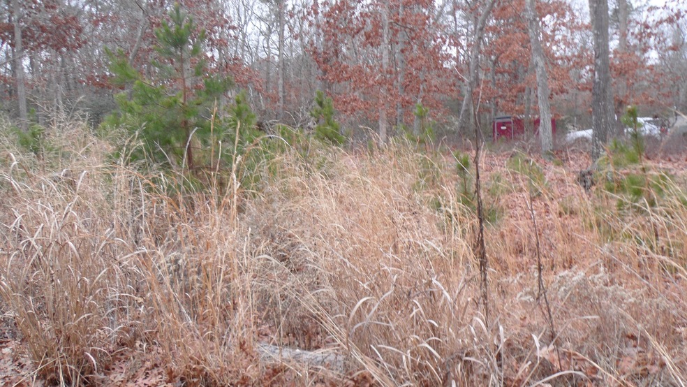 12 Angela Dr, Little Egg Harbor Township, NJ 08087 - photo 1