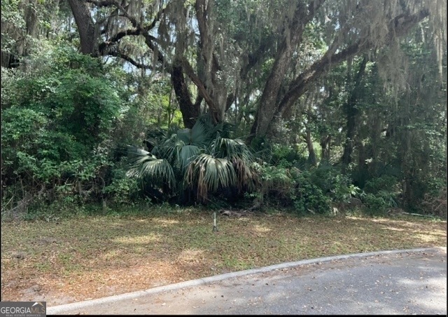 0 Wagner Ln unit 10565245, St. Marys, GA 31558 - photo 1