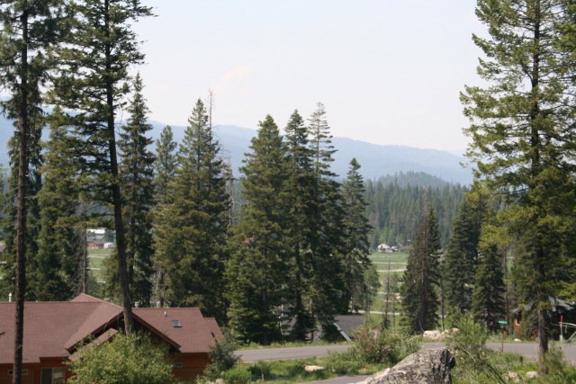 Main View