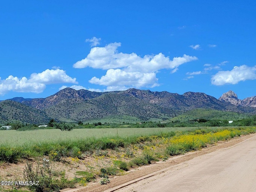3.6 ACRE on Treasure Rd (11)