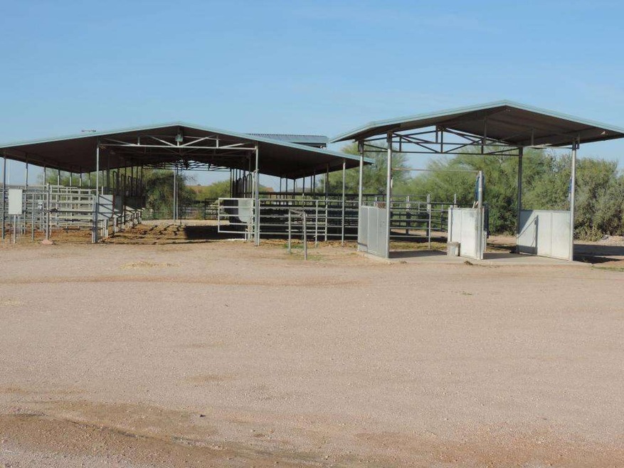 12 stall barn with runs and wash rack