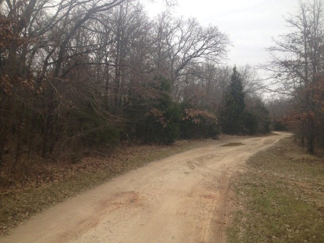 9762 County Road 1205, Athens, TX 75751 - photo 1