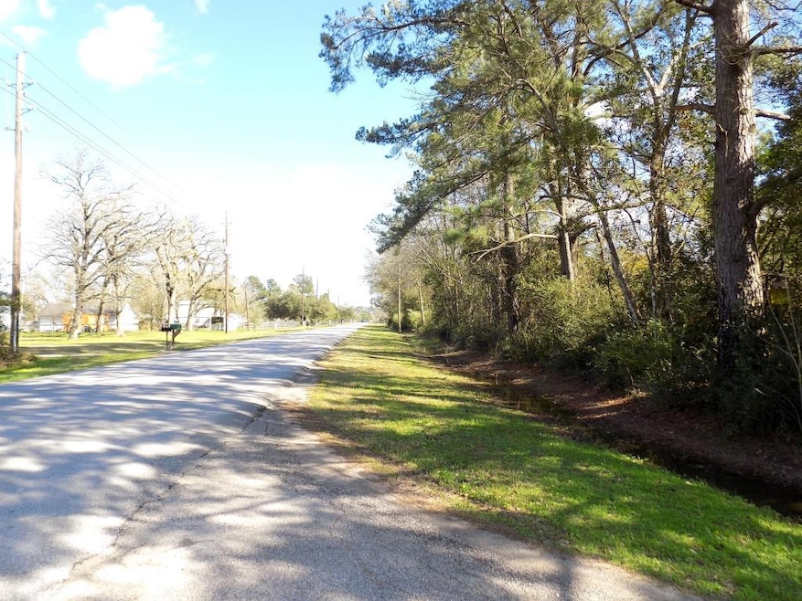 33100 Old Hempstead, Magnolia, TX 77355 - photo 1