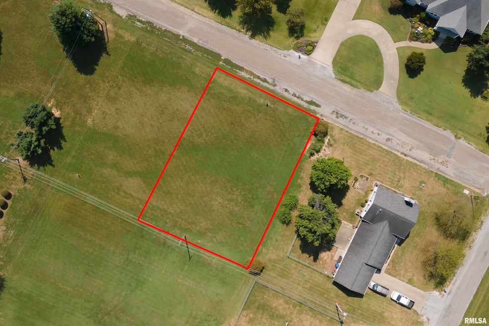 000 Eric Ln, McLeansboro, IL 62859 - photo 1