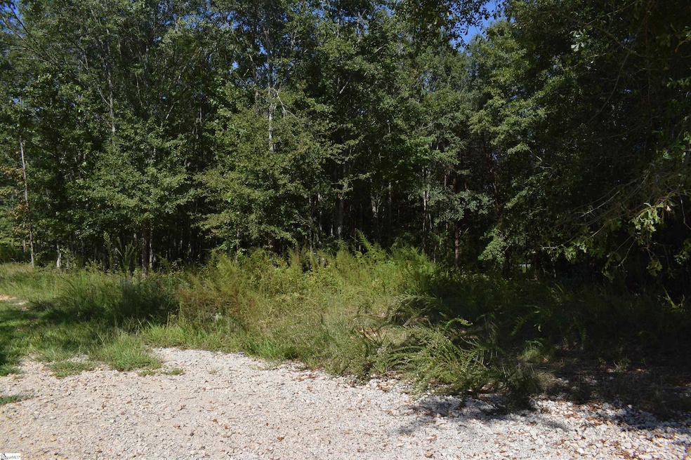 0 Lyman Lodge Rd, Lyman, SC 29365 - photo 1