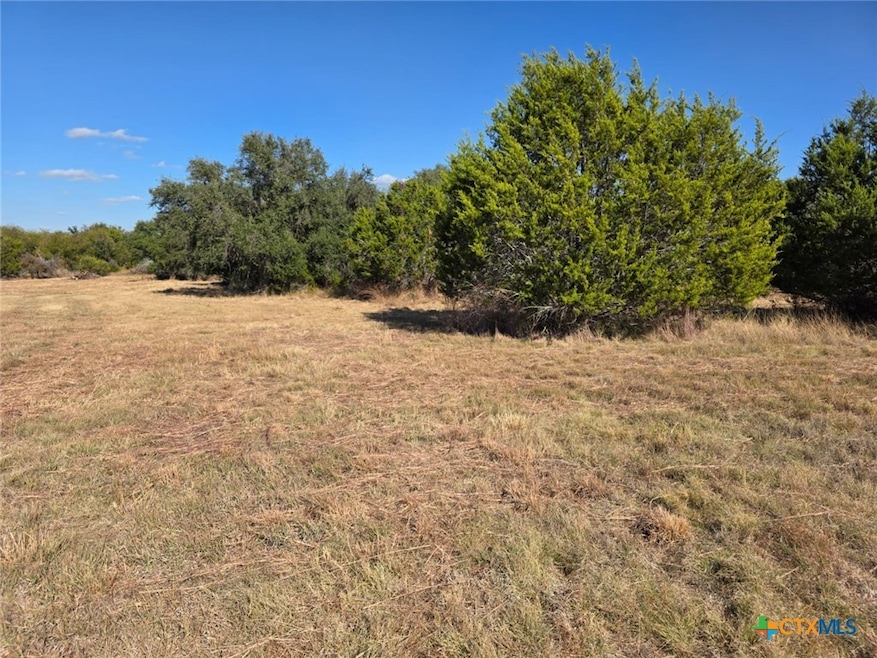 TBD Avila Ln, Briggs, TX 78608 - photo 1