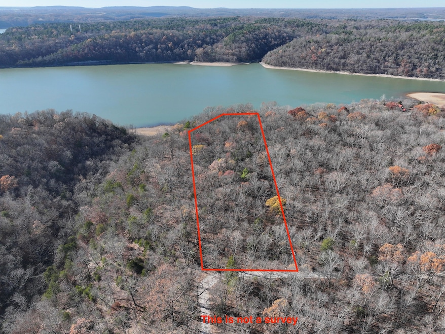 0 Hickory Springs Rd, Hindsville, AR 72738 - photo 1