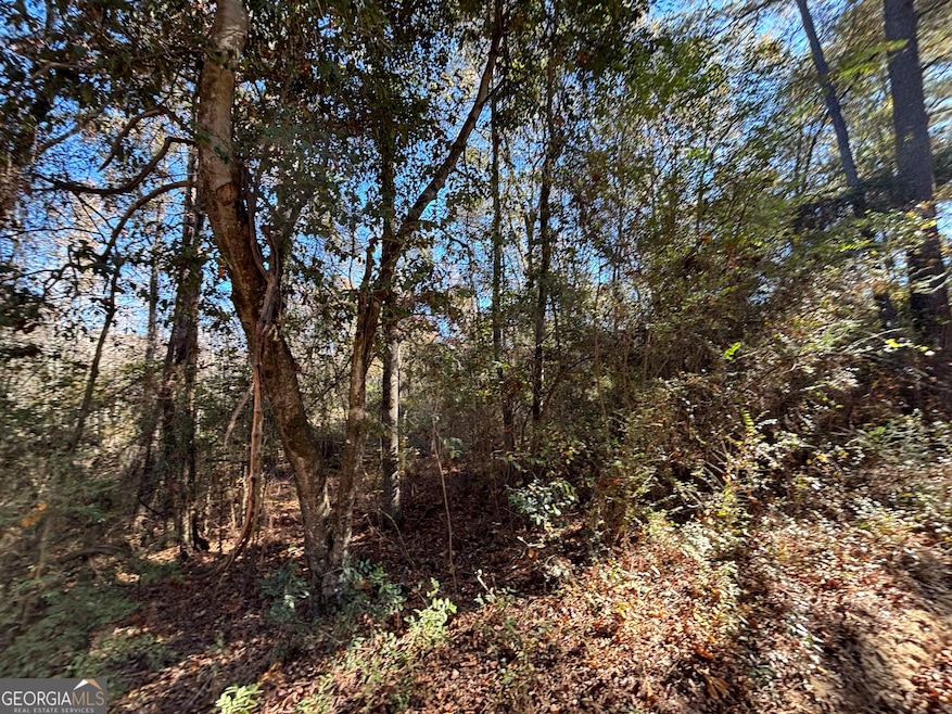 PARCEL Julian-Simpson Rd, Cochran, GA 31014 - photo 1