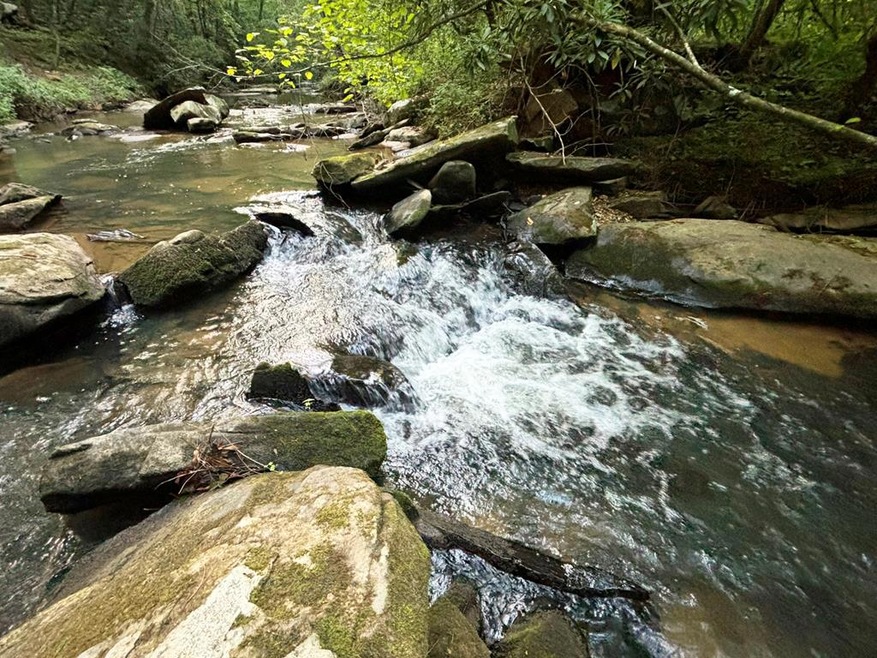 LOT 14 McAfee Knob Rd, Ellijay, GA 30510 - photo 1