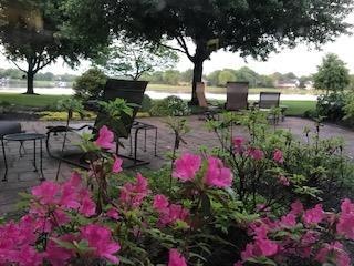 4305 SW Gull Point Dr, Lees Summit, MO 64082 - photo 1