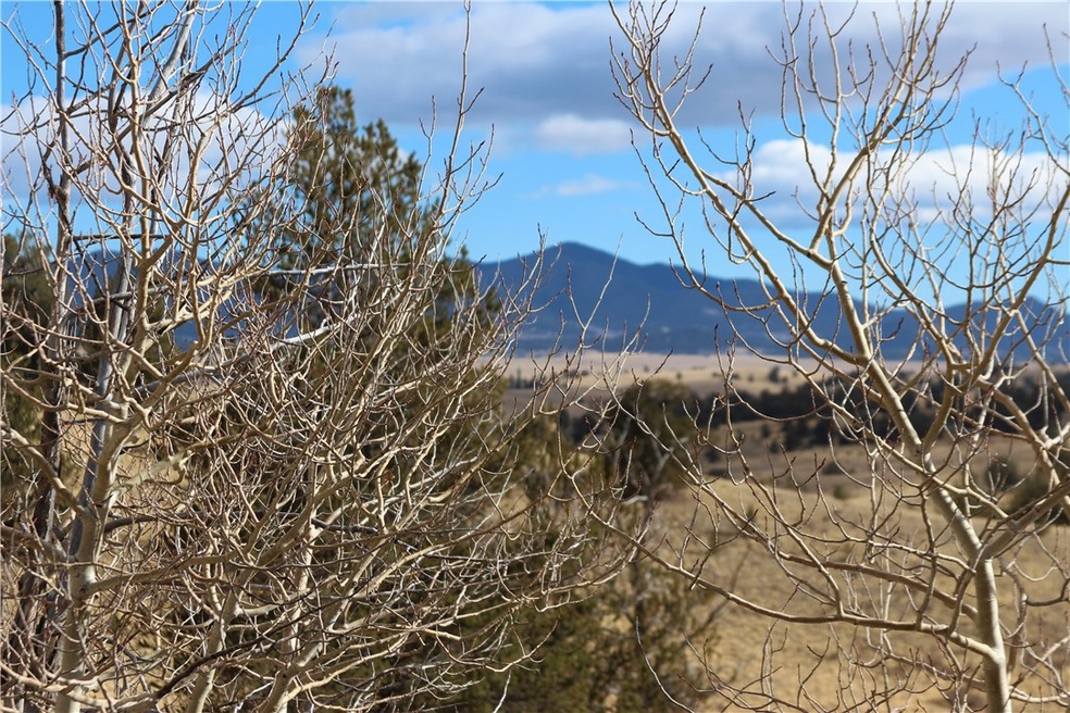 176 Musket Ln, Como, CO 80432 - photo 1