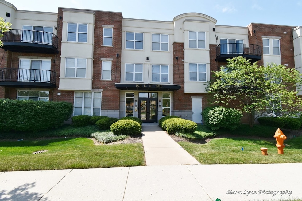 104 E 11th Ave unit 301, Naperville, IL 60563 - photo 1
