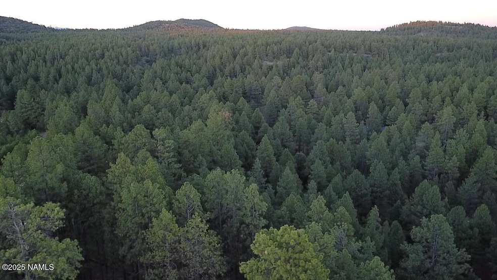 77 E Ski Run Rd, Williams, AZ 86046 - photo 1