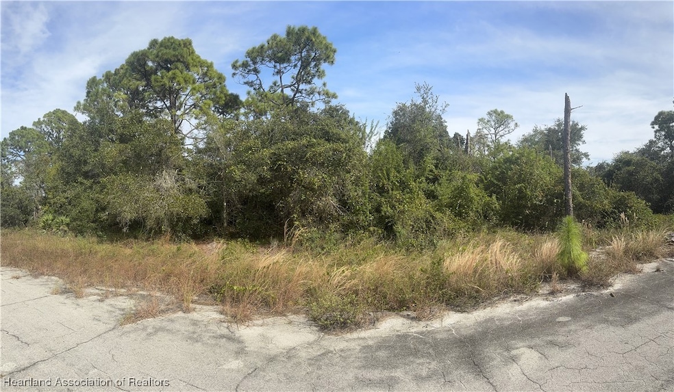 208 Gasparilla Way NE, Lake Placid, FL 33852 - photo 1