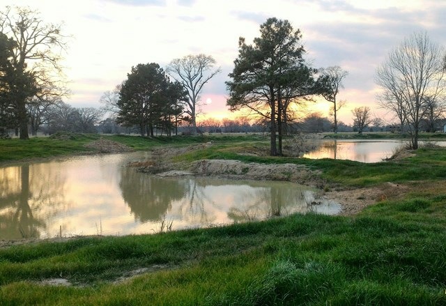 0 County Road 629, Nacogdoches, TX 75964 - photo 1