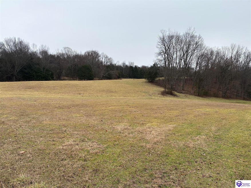 600 Cora Wilborn Rd, Summer Shade, KY 42166 - photo 1