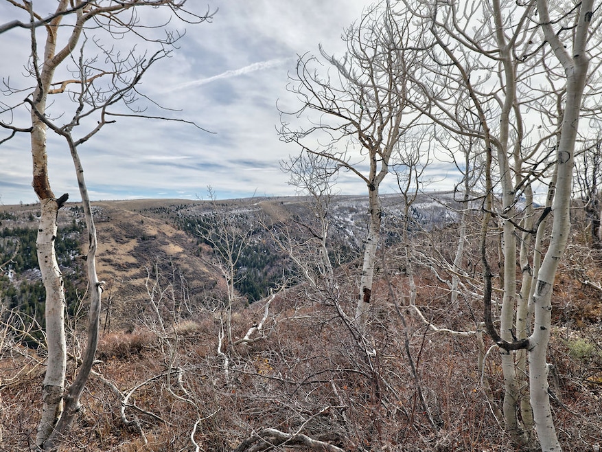 1 See Directions, Scofield, UT 84526 - photo 1