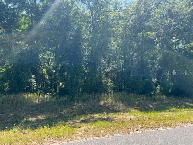 0 SW 175th Loop unit MFROM676891, Ocala, FL 34473 - photo 1