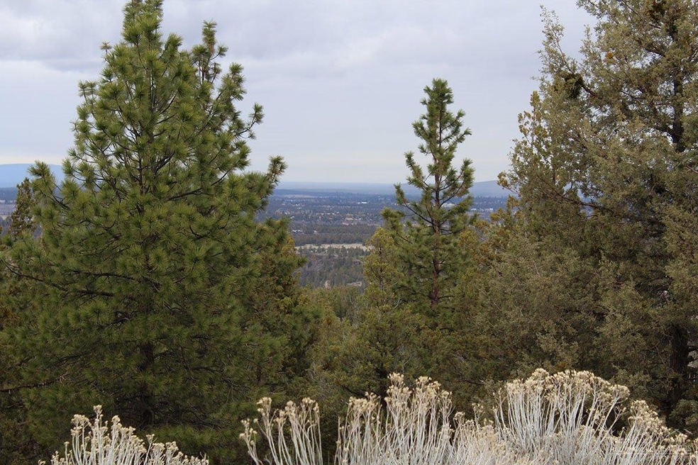 1728 NW Remarkable #30 Dr, Bend, OR 97701 - photo 1