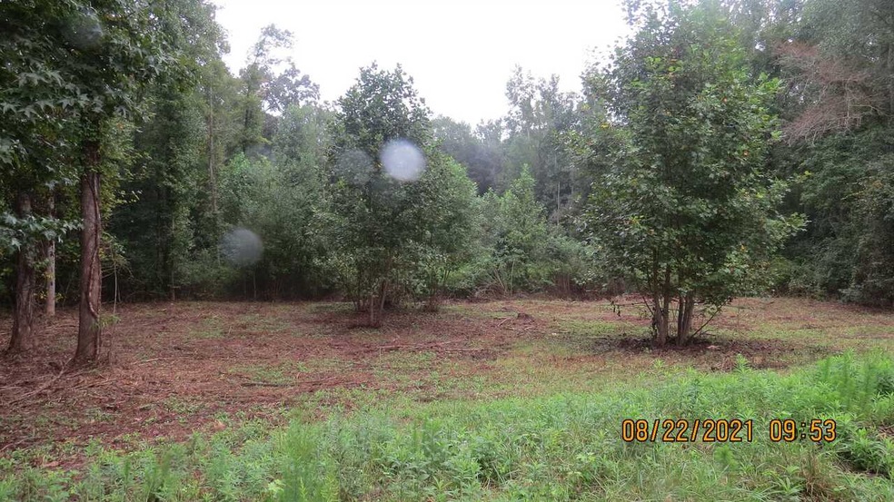 332 Beaver Chase Ln unit 7, Gay, GA 30218 - photo 1