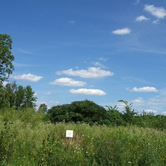 13 Ashley Lane.JPG