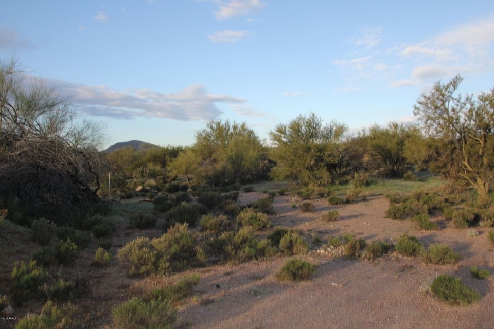 Lot and Views