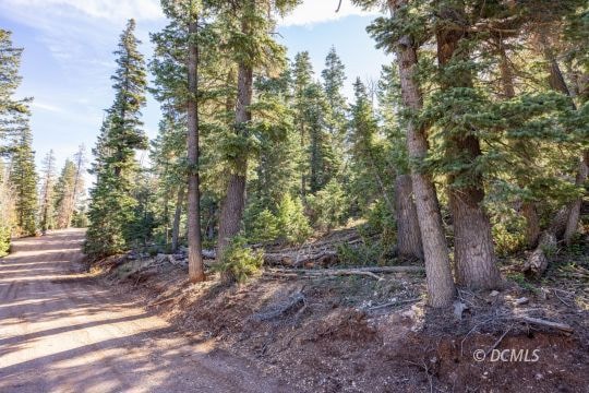1285 W Twisted Trail, Duck Creek Village, UT 84762 - photo 1