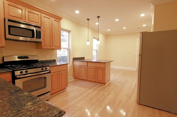 65 Hollander St unit 1, Dorchester, MA 02121 - photo 1