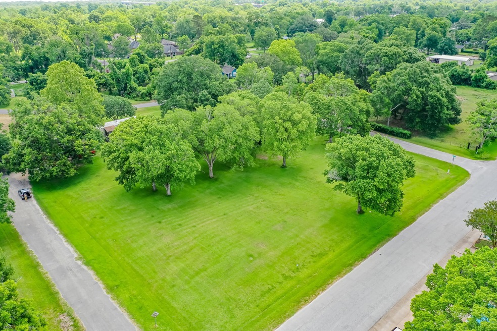 0 Gaines St, Brazoria, TX 77422 - photo 1
